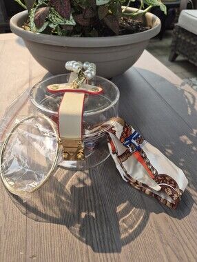 Clear Hand Bag CC With Pearls On Top To Carry It